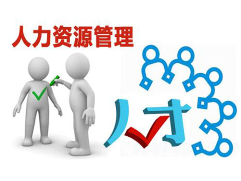 人力资源类